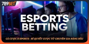 Cá Cược E-sports - Bí Quyết Cược Từ Chuyên Gia Hàng Đầu